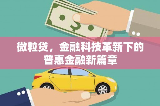 津南微粒贷，金融科技革新下的普惠金融新篇章