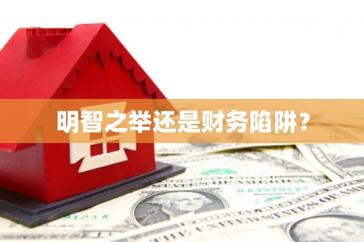 津南明智之举还是财务陷阱？