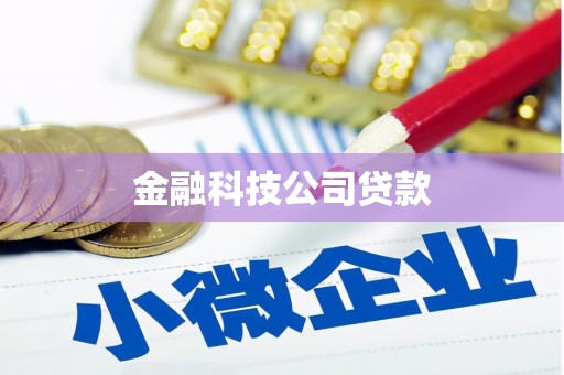 津南金融科技公司贷款
