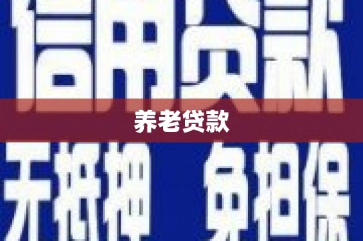 津南养老贷款