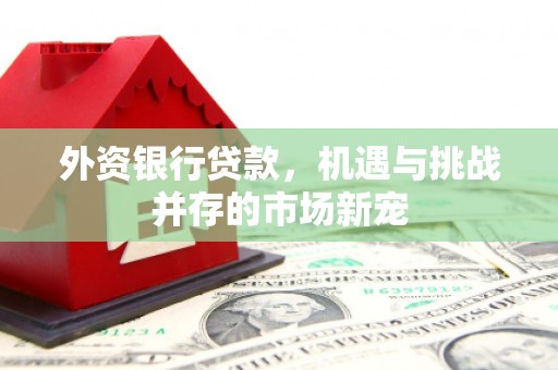 津南外资银行贷款，机遇与挑战并存的市场新宠