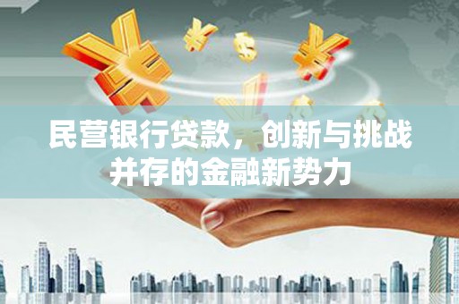 津南民营银行贷款，创新与挑战并存的金融新势力