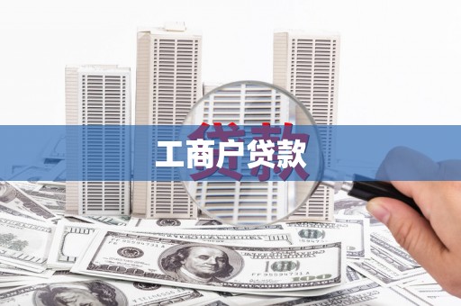 津南工商户贷款