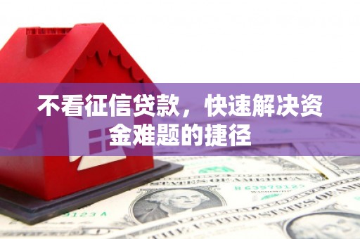 津南不看征信贷款，快速解决资金难题的捷径