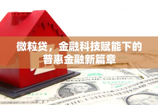 津南微粒贷，金融科技赋能下的普惠金融新篇章