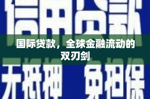 津南国际贷款，全球金融流动的双刃剑