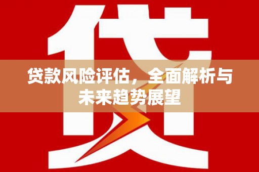 津南贷款风险评估，全面解析与未来趋势展望