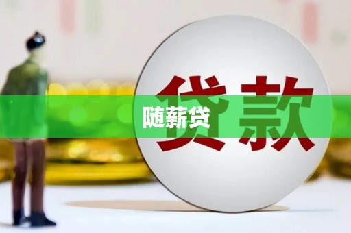 津南随薪贷