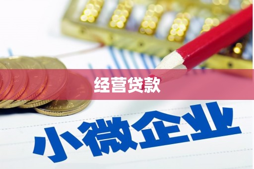 津南经营贷款