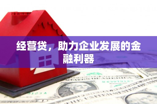 津南经营贷，助力企业发展的金融利器