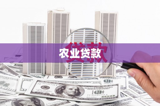 津南农业贷款