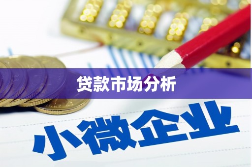 津南贷款市场分析