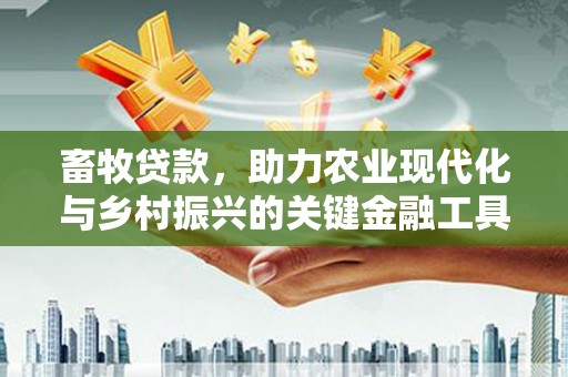 津南畜牧贷款，助力农业现代化与乡村振兴的关键金融工具