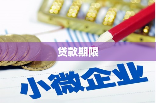 津南贷款期限