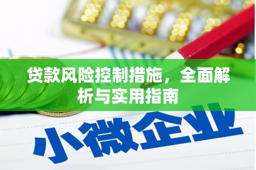津南贷款风险控制措施，全面解析与实用指南