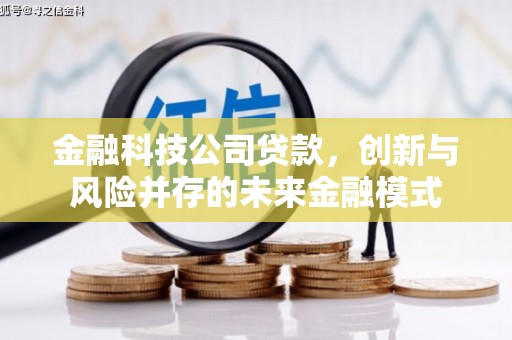 津南金融科技公司贷款，创新与风险并存的未来金融模式