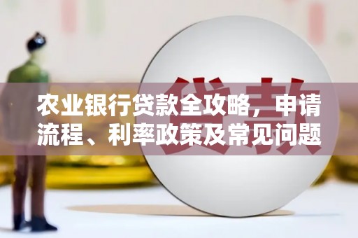 津南农业银行贷款全攻略，申请流程、利率政策及常见问题解析