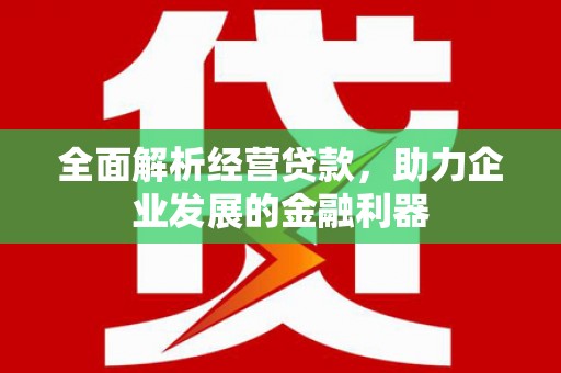 津南全面解析经营贷款，助力企业发展的金融利器