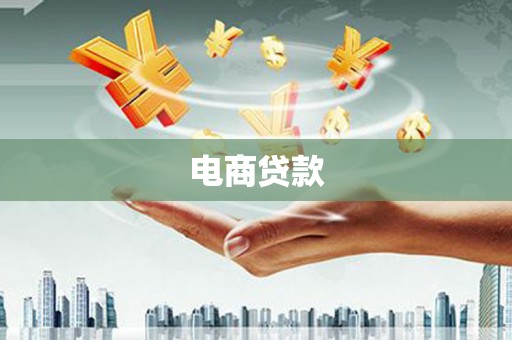 津南电商贷款