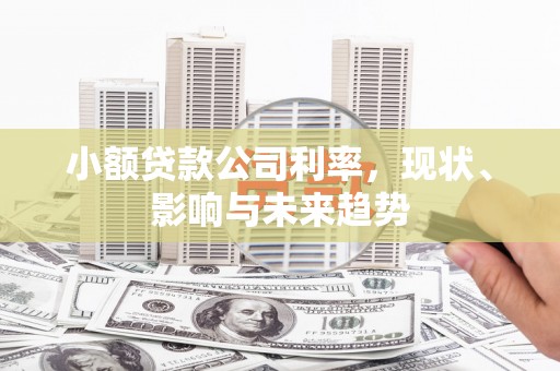 津南小额贷款公司利率，现状、影响与未来趋势