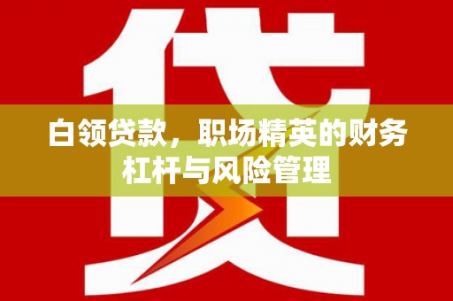 津南白领贷款，职场精英的财务杠杆与风险管理