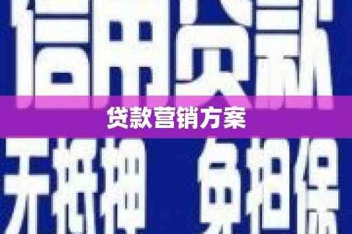 津南贷款营销方案