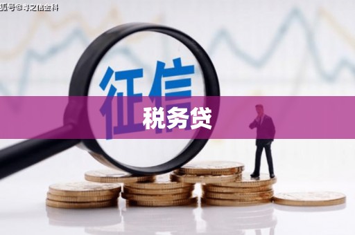 津南税务贷