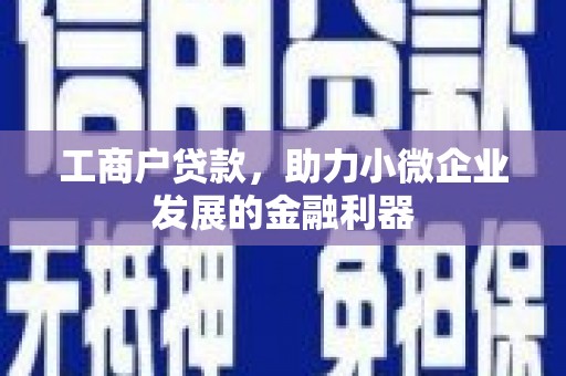 津南工商户贷款，助力小微企业发展的金融利器