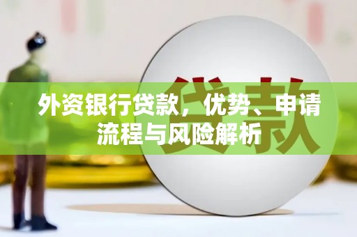 津南外资银行贷款，优势、申请流程与风险解析
