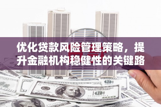 津南优化贷款风险管理策略，提升金融机构稳健性的关键路径