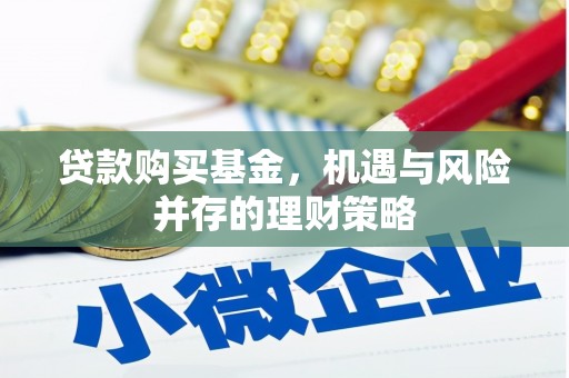 津南贷款购买基金，机遇与风险并存的理财策略