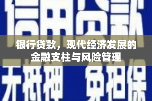 津南银行贷款，现代经济发展的金融支柱与风险管理