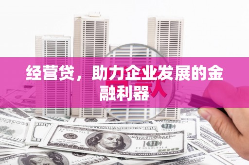 津南经营贷，助力企业发展的金融利器