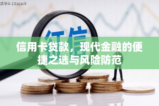 津南信用卡贷款，现代金融的便捷之选与风险防范