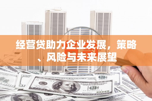 津南经营贷助力企业发展，策略、风险与未来展望