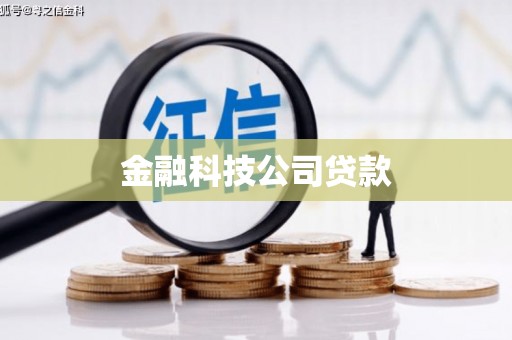 津南金融科技公司贷款