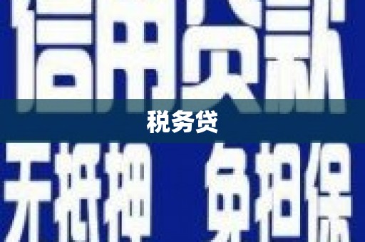 津南税务贷