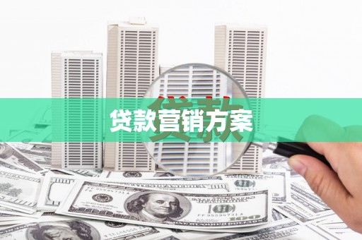 津南贷款营销方案