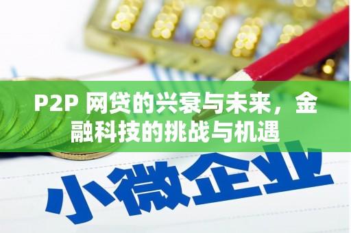 津南P2P 网贷的兴衰与未来，金融科技的挑战与机遇