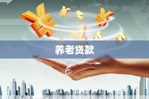 津南养老贷款