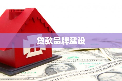 津南贷款品牌建设