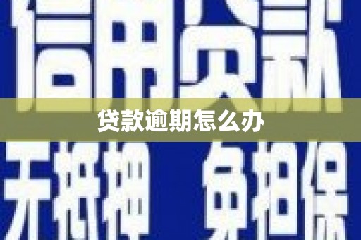 津南贷款逾期怎么办