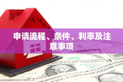 津南申请流程、条件、利率及注意事项