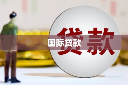 津南国际贷款