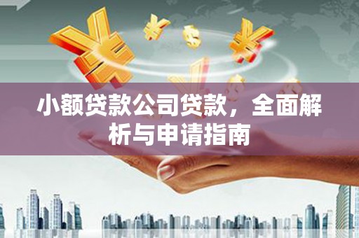 津南小额贷款公司贷款，全面解析与申请指南
