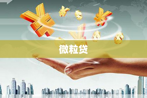 津南微粒贷