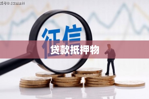 津南贷款抵押物
