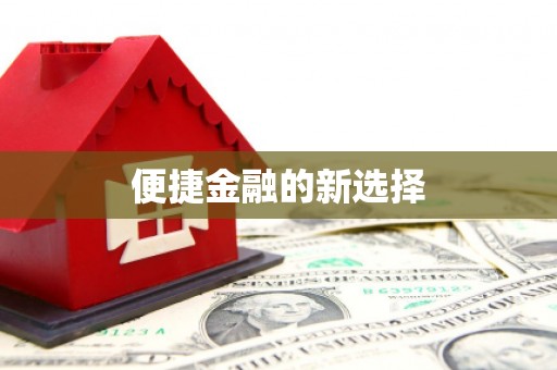津南便捷金融的新选择