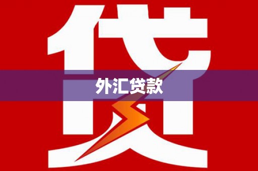 津南外汇贷款