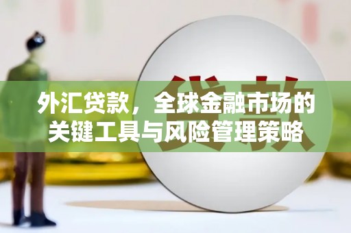 津南外汇贷款，全球金融市场的关键工具与风险管理策略